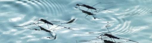 Upravljanje sustavom suzbijanja komaraca