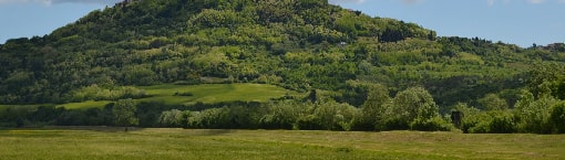 Stanje i opis ekosustava Motovunske šume